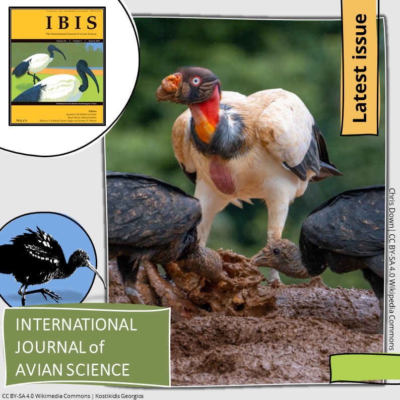 BOU π©π»βπ«π¨πΏβπ«π§π½π³π½ββοΈ π (@ibis_journal) on Twitter photo In the LATEST ISSUE
Scouts vs. usurpers: alternative foraging strategies facilitate coexistence between neotropical Cathartid vultures
onlinelibrary.wiley.com/doi/10.1111/ibβ¦
<a href="/Chris_Beirne/">Chris Beirne</a> et al.
#ornithology In the LATEST ISSUE
Scouts vs. usurpers: alternative foraging strategies facilitate coexistence between neotropical Cathartid vultures
onlinelibrary.wiley.com/doi/10.1111/ibβ¦
<a href="/Chris_Beirne/">Chris Beirne</a> et al.
#ornithology