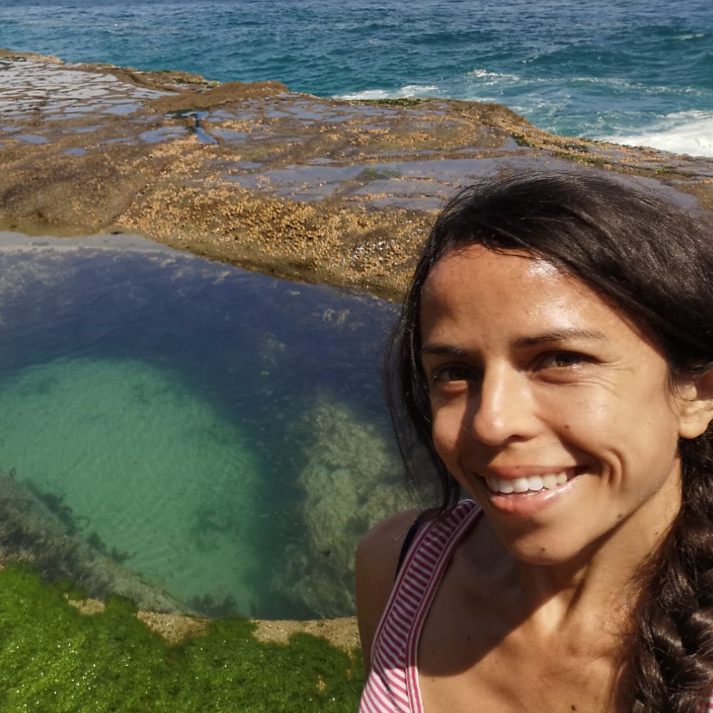 GBIF @biodiversity.social/@gbif (@gbif) on Twitter photo ChatIPT system wins the 2024 Ebbe Nielsen Challenge! 🏆
Rukaya Johaadien - Head Engineer at <a href="/GBIFNorway/">GBIF Norway</a> has developed a Chatbot assistant that helps #data holders transform spreadsheets into standardized GBIF-ready datasets! 💻
🔗 buff.ly/47KZo92
<a href="/UniOslo_NHM/">Naturhist. museum</a> ChatIPT system wins the 2024 Ebbe Nielsen Challenge! 🏆
Rukaya Johaadien - Head Engineer at <a href="/GBIFNorway/">GBIF Norway</a> has developed a Chatbot assistant that helps #data holders transform spreadsheets into standardized GBIF-ready datasets! 💻
🔗 buff.ly/47KZo92
<a href="/UniOslo_NHM/">Naturhist. museum</a>