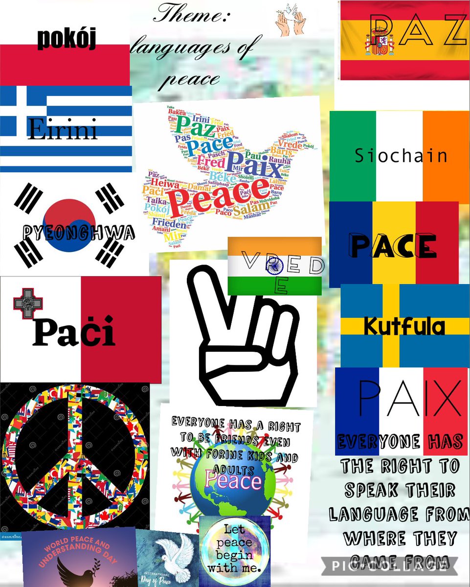 Miss Kelly tweet media