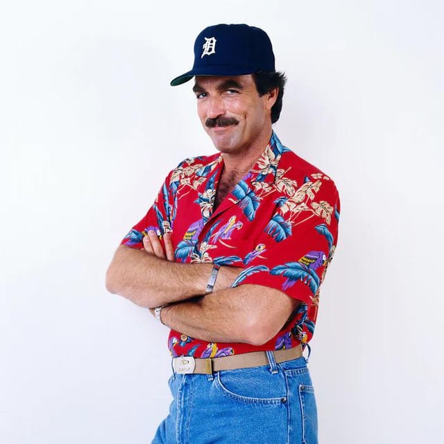 Me, excited for the first Tigers playoff appearance in a decade: