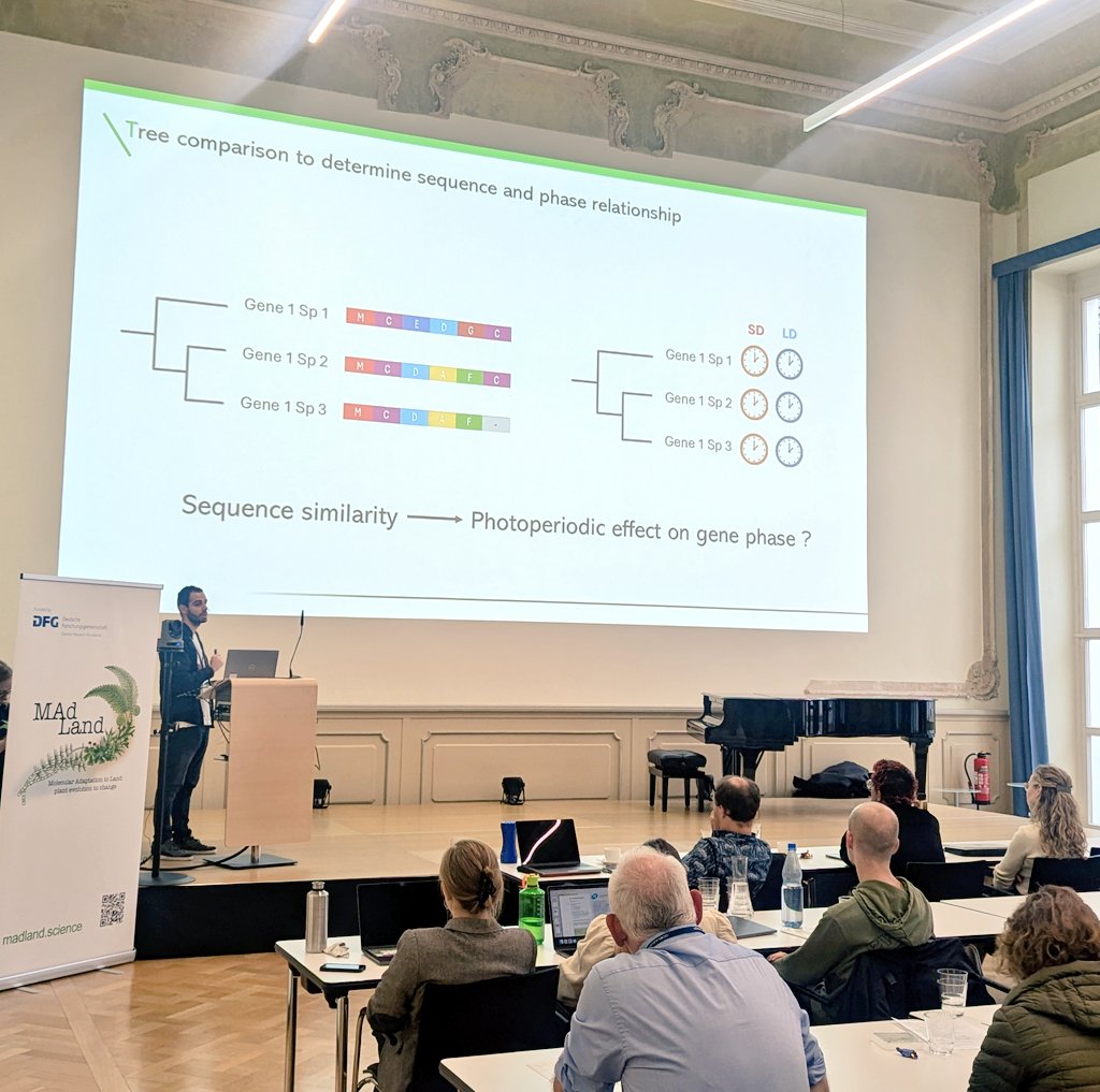 MadLand (@watertoland) on Twitter photo Marcos Ramos González from <a href="/fran_rom_cam/">Fran Romero-Campero</a> lab in Sevilla discussing the Evolution of the photoperiodic regulation of diurnal rhythms in Viridiplantae #MAdLand2024 Marcos Ramos González from <a href="/fran_rom_cam/">Fran Romero-Campero</a> lab in Sevilla discussing the Evolution of the photoperiodic regulation of diurnal rhythms in Viridiplantae #MAdLand2024