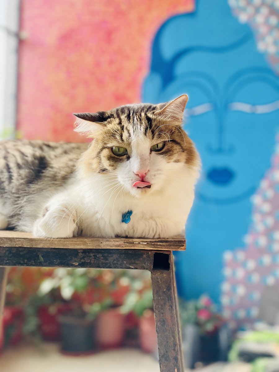 Chirag Barjatya tweet media