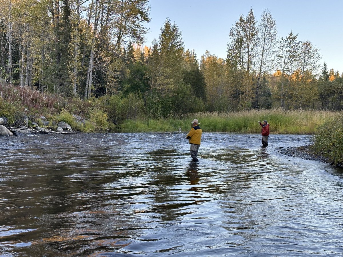 Devious Panda tweet media