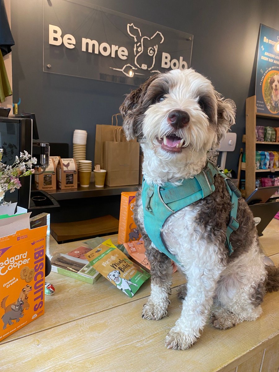 Pals, my shoppy has been nominated for an award by Costwolds Concierge - a website showcasing all the very best businesses in the beautiful Cotswolds.
If you have one minute to spare over a cup of tea, maybe you could vote for me?
I'm in the Best Independent Shop section 🙂
I'll