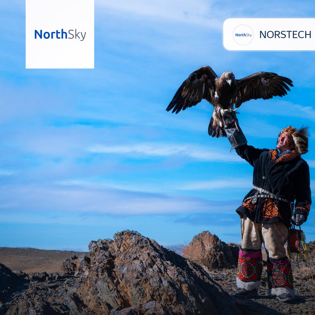 PrivetNorstech's tweet photo. Fly high and go beyond limits 🦅

#designforlife #privet #norstech https://t.co/R0eUKBn5Aj