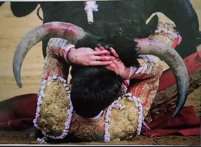 forostoreros's tweet photo. Buenos días! #FelizJuevesParaTodos  
Fotografía que nos deja sin aliento y con la boca abierta.    Foto de Maurice Berho  https://t.co/bTOFMtHE2s
Cuando "gana" el toro... https://t.co/7DoYrKxnNO