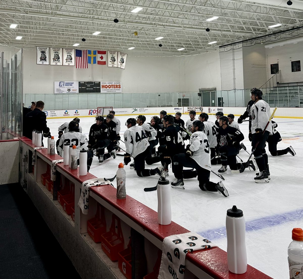 Chicago_Wolves's tweet photo. 🎶The Boys Are Back in Town 🎶 https://t.co/OVChGLIJ9f