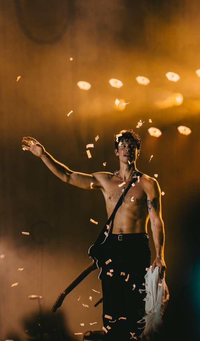 This is literally the most perfect photograph