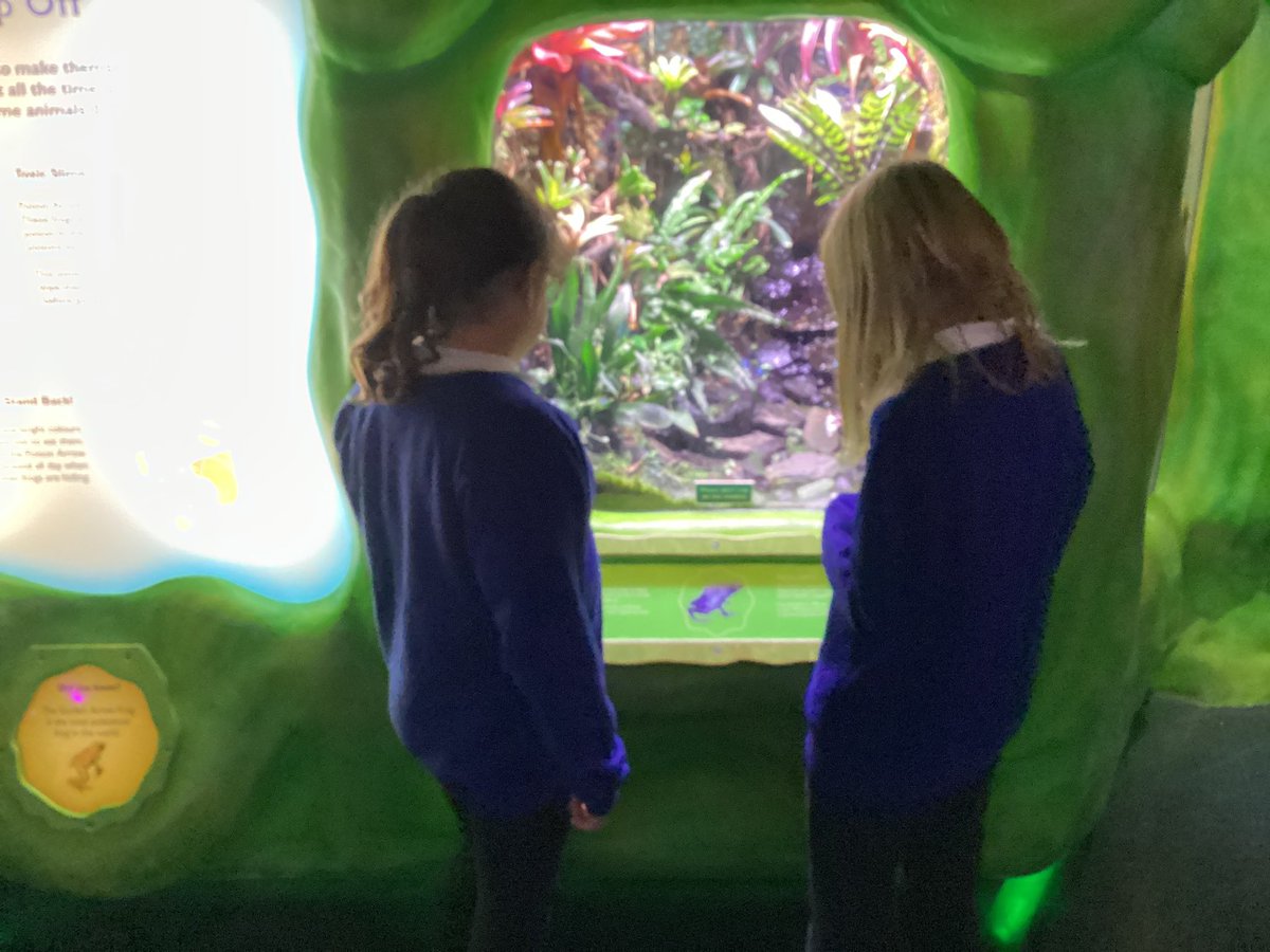 LeysFarm's tweet photo. Year 5 really enjoyed their visit to @TheDeepHull today. Our guide Rachel was able to support us with our learning for Once upon a planet and explain what is happening to the seas and oceans. Lots of super writing opportunities for us. #LFJSGeography #LFJSEnglish https://t.co/UIrYJKmDlo