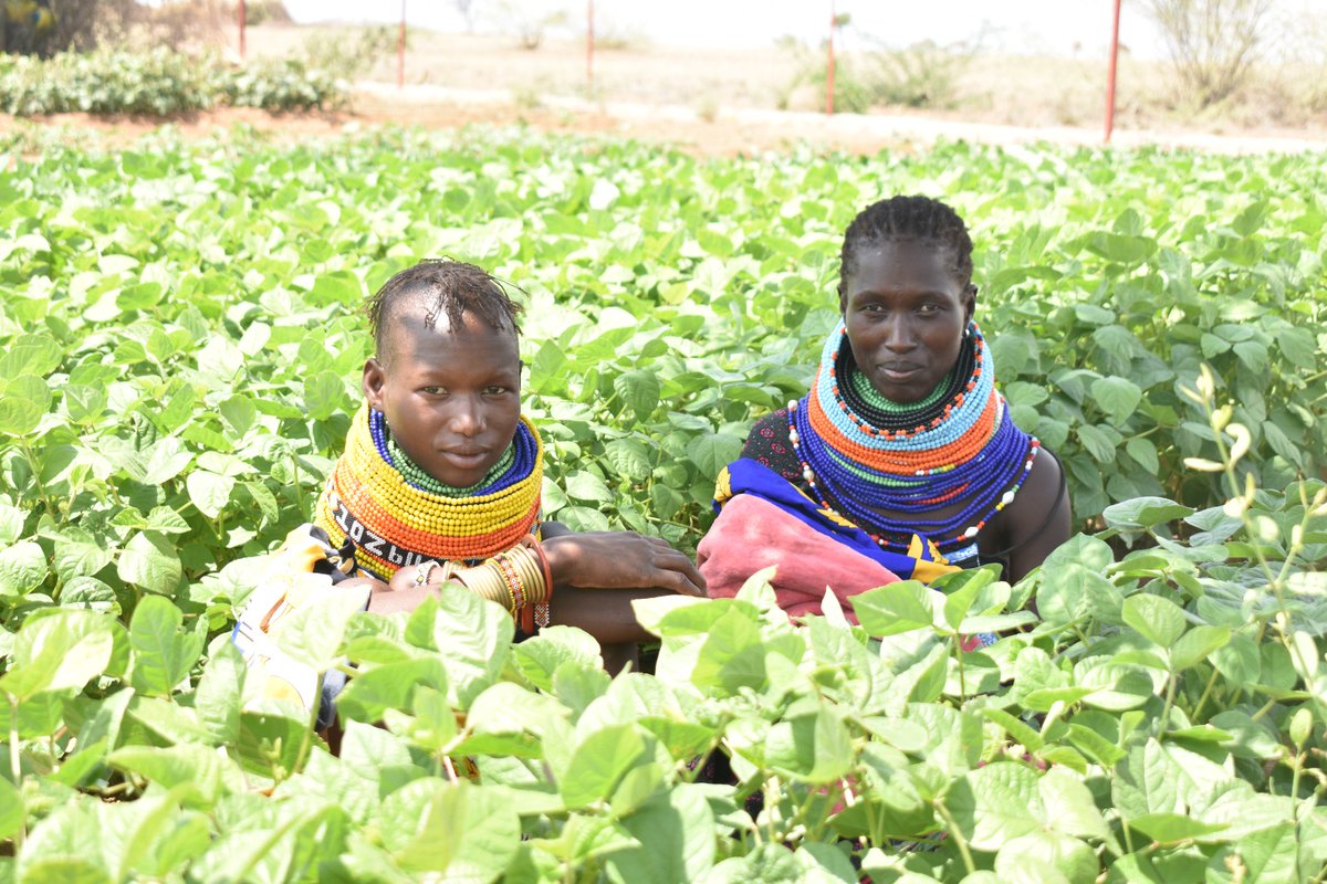 PelumKenya's tweet photo. Through #Visibilize4ClimateAction, we explored innovative agroecological practices in Turkana North /Kibish, proving that deserts can bloom with the right techniques. 🌾💧

@aphrc @Zero_Hunger_Ke @apadlodwar  @RODI_Kenya https://t.co/4NFedCldAc