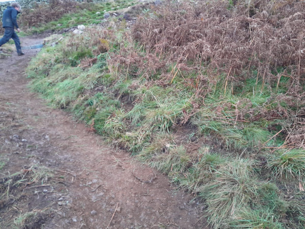 Our Central &amp; Eastern Fix the Fells Rangers were on Gowbarrow today grading the sides of a path affected by erosion.