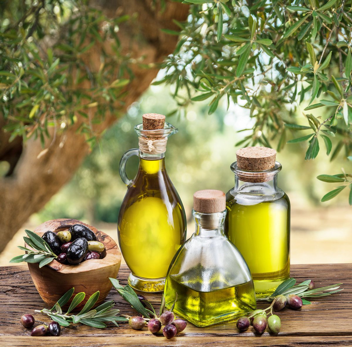 karimanesr's tweet photo. Algunos beneficios del aceite de oliva virgen extra 

· Ayuda a perder peso.
· Alivia inflamaciones leves.
· Prevenir el deterioro mental.
· Propiedades anticancerígenas.
· Buen aliado contra la diabetes.
· Mejora la respuesta inmune.
· Ayuda a controlar la presión arterial.
· Frena el envejecimiento prematuro.

Beneficios del aceite de oliva virgen extra para la piel:

· Es un potente antioxidante por todas las vitaminas que contiene y combate el envejecimiento de la piel.

· Hidrata la piel y la protege de los radicales libres1.
Tiene propiedades antibacterianas.

· Mejora la regeneración celular y reduce líneas de expresión, arrugas e imperfecciones.

Beneficios del aceite de oliva virgen extra para el pelo:

· Ayuda en la regeneración de las células, protegiendo e hidratando el cuero cabelludo.

· Mantiene el pelo hidratado evitando que se quiebre y pueda caerse como consecuencia de la sequedad.

Beneficios del aceite de oliva virgen extra para el corazón:

· Protege las arterias.

· Ayuda a reducir la inflamación .

Beneficios del aceite de oliva virgen extra para el cerebro:

· Previene el deterioro mental.

· Propiedades anticancerígenas.