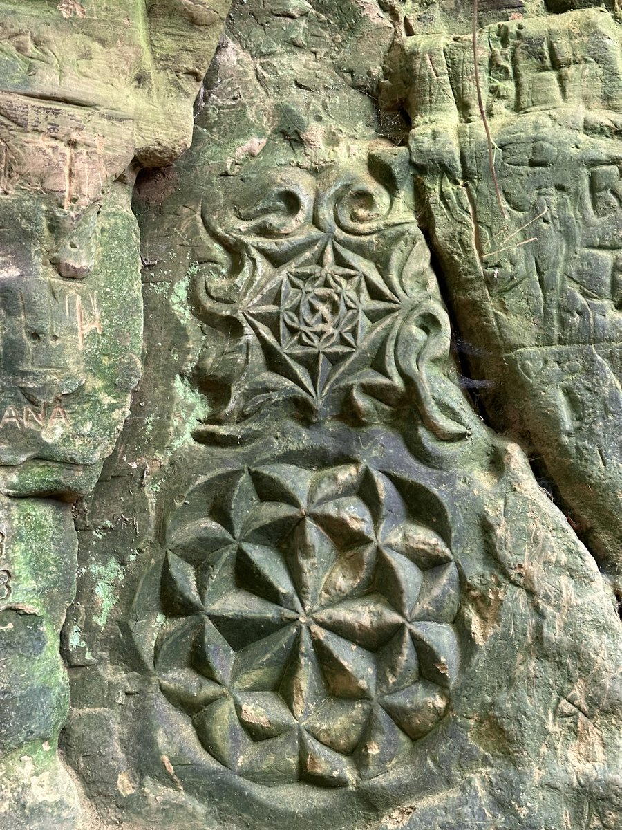 Symondsbury, West #Dorset. Colmers Hill today.
#SunkenLanes