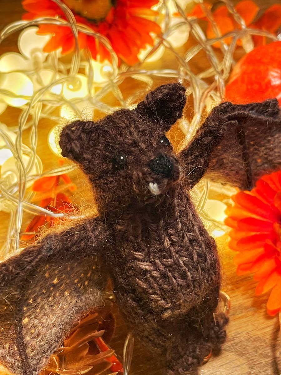 holloknit's tweet photo. [🦇RT+팔로우 이벤트]

뜨개인형작가 호럴로 입니다. 저를 팔로우+알티 해 주시는 한 분께 아기박쥐 인형 하나를 보내드립니다. (밝은색 박쥐 뜨개키트로 변경 가능)

24.10.07. 오후 댓글로 당첨자 공지 합니다.

주로 대바늘 인형을 개발하고 패턴을 공유하고 있습니다. 많은 관심 부탁드려요💕 https://t.co/wD6AfYGPfD