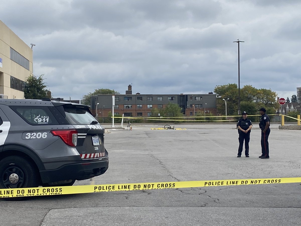 Catherine McDonald tweet media