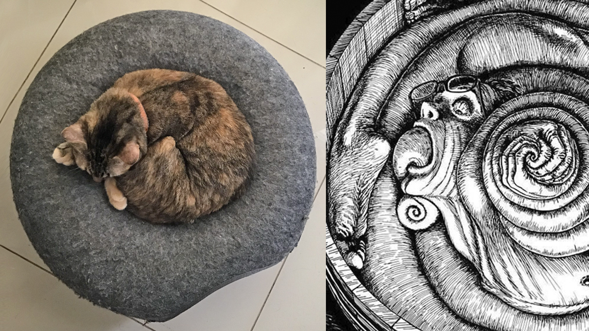 daniarz's tweet image. real life vs manga #uzumaki