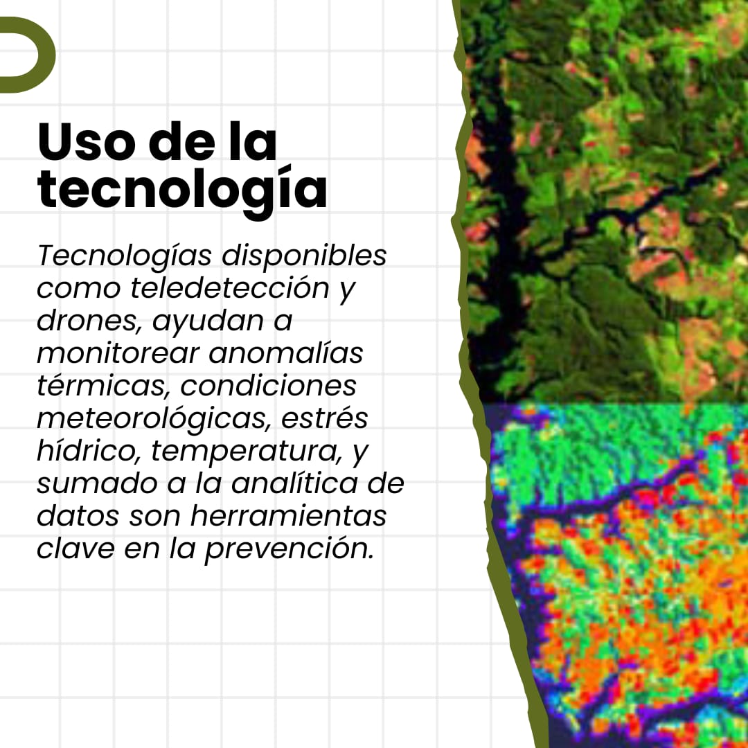 multiteak's tweet photo. Los incendios forestales son una amenaza constante tanto para la economía como el equilibrio ambiental. Por eso, es fundamental que se implementen medidas que ayuden a monitorear anomalías térmicas para prevenir desastres. Desliza y entérate un poco más de tipos de prevención. https://t.co/gzyLXfG31I