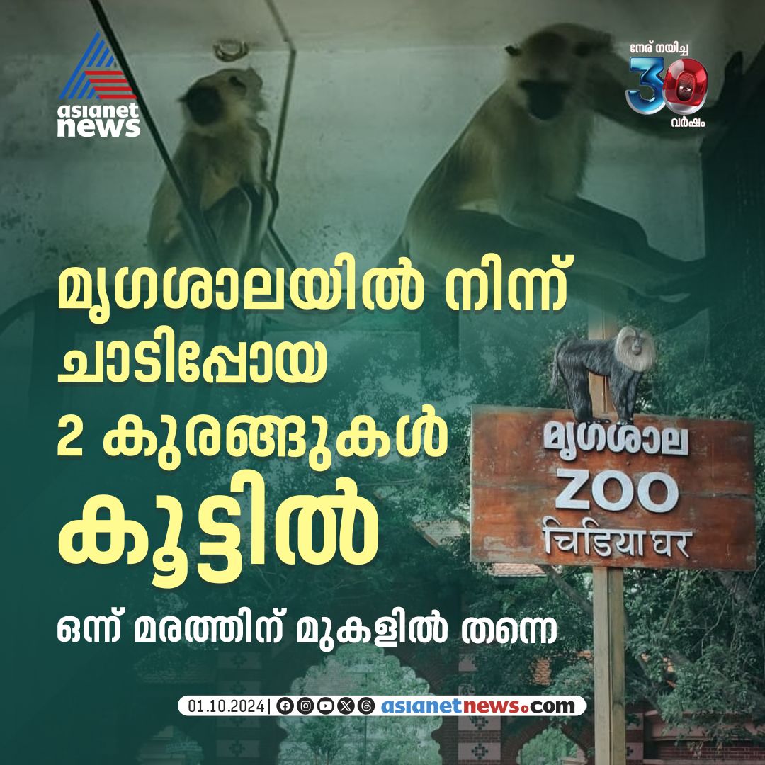 AsianetNewsML's tweet photo. തിരുവനന്തപുരം മൃഗശാലയിൽ നിന്ന് ചാടിപ്പോയ ഹനുമാൻ കുരങ്ങുകളില്‍ രണ്ട് എണ്ണത്തിനെ കൂട്ടിലാക്കി

🔗 https://t.co/oM8N86eNcn

#Thiruvananthapuram #Zoo #HanumanMonkey https://t.co/2s37cf9ZIn