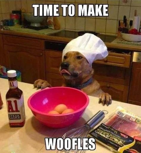 Rumplepimple1's tweet photo. #IAmNotPerfectBut I can cook woofles. https://t.co/RgWnMBWJGD