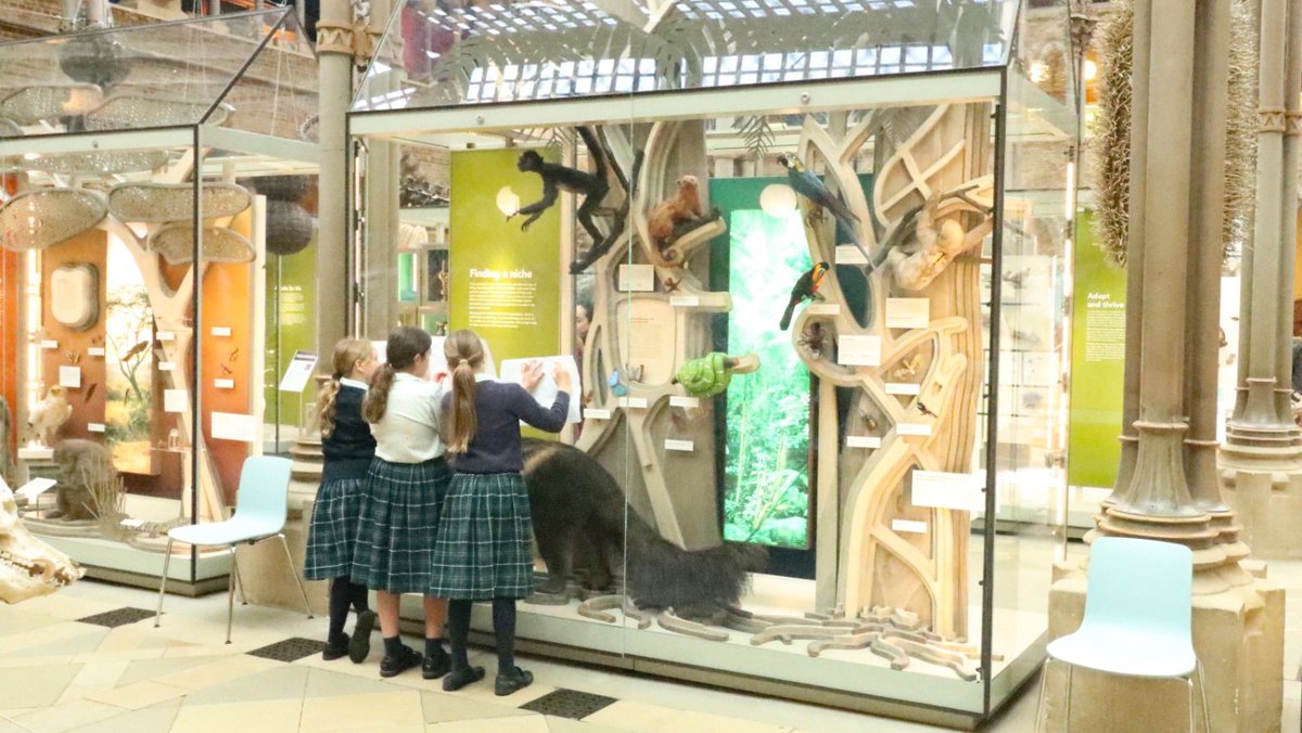 Highfield and Brookham School (@highfieldsch) on Twitter photo Our Year 6 children have today been delving into the past at the amazing <a href="/morethanadodo/">Oxford University Museum of Natural History</a> in Oxford; factfinding to underpin their classroom studies on 'Striving for Solutions' and asking the question 'what does our planet provide?'
#TogetherWeGrow #NaturalHistory Our Year 6 children have today been delving into the past at the amazing <a href="/morethanadodo/">Oxford University Museum of Natural History</a> in Oxford; factfinding to underpin their classroom studies on 'Striving for Solutions' and asking the question 'what does our planet provide?'
#TogetherWeGrow #NaturalHistory
