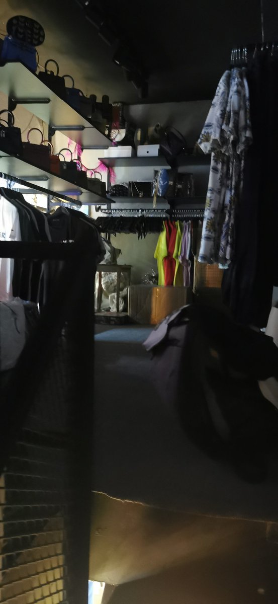 Bul kediyi al parayı