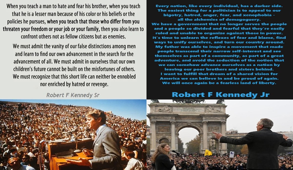 Satoshi's Pet 🦅 tweet media