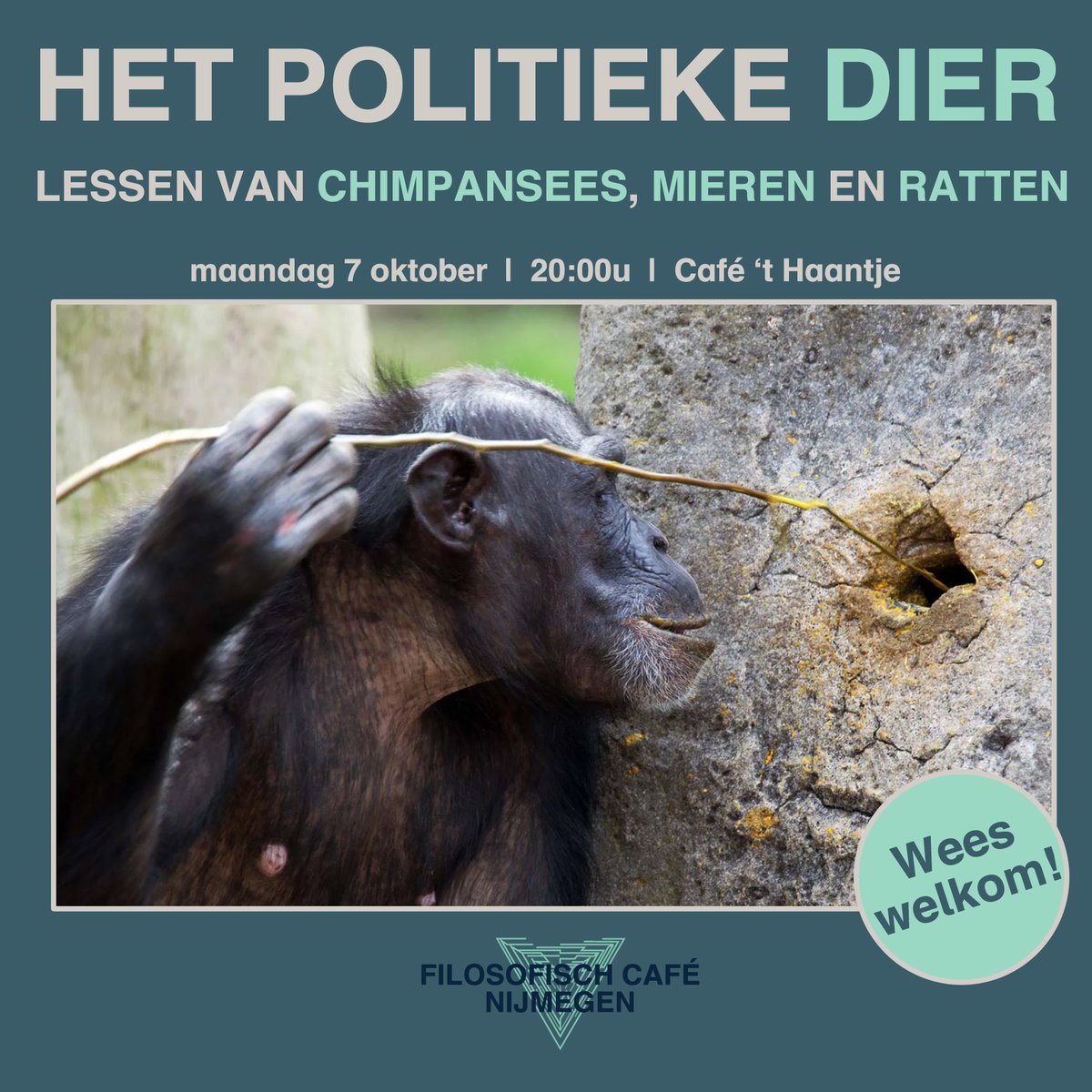 Filosofisch Café tweet media