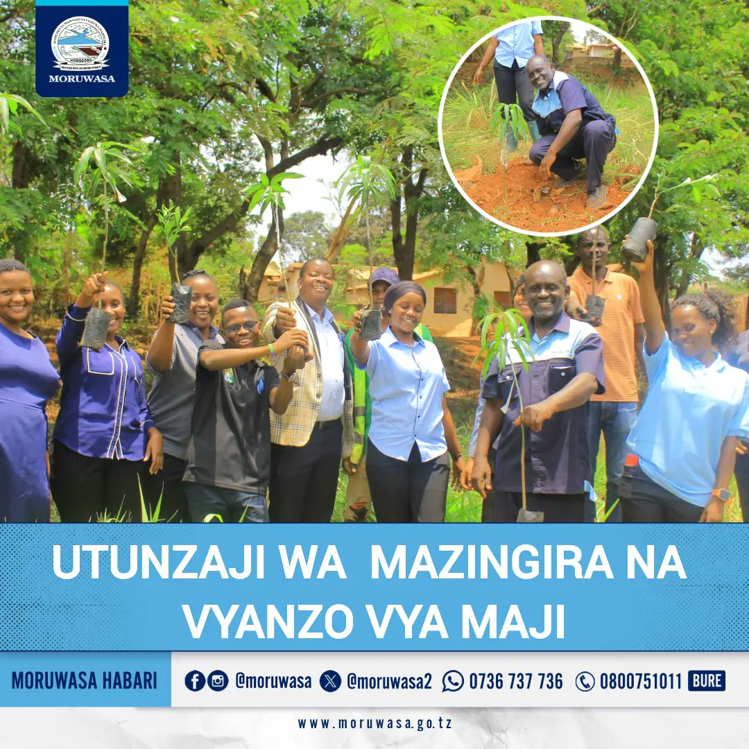 moruwasa2's tweet photo. Watumishi wa MORUWASA wameendelea kuwa mfano bora katika kutunza na kuhifadhi Mazingira, ambapo leo Oktoba 1, 2024 watumishi wanaosherehekea siku zao za kuzaliwa kwa mwezi Septemba wameshiriki zoezi la Kupanda miti katika eneo la Bwawa la  kutibu Majitaka Mafisa, Morogoro. https://t.co/vxMhWz6VJZ