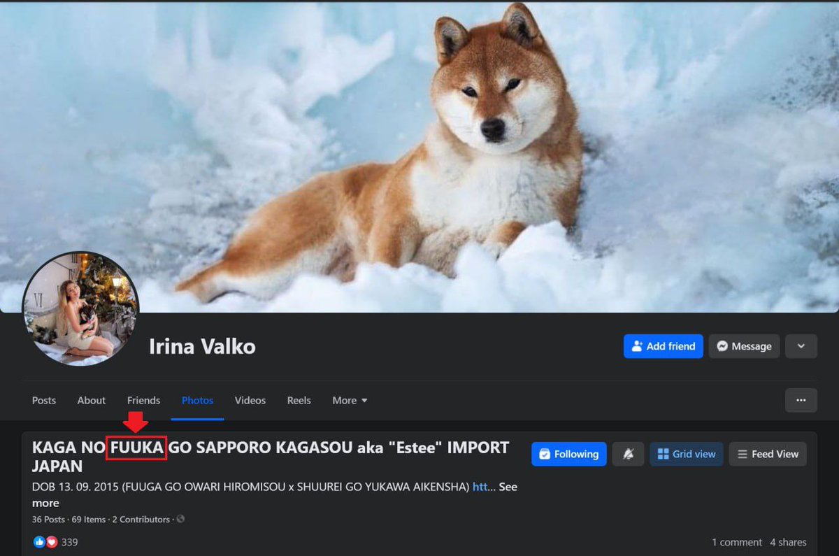 $fuuka was registered before she was adopted! You can’t change the name just because you want! 

You can’t say anything different from this, at least not about the OG Japanese name! Period.

Proof? Just check the pedigree shibapedigree.com/details.php?id…

And look in the siblings name! Ez