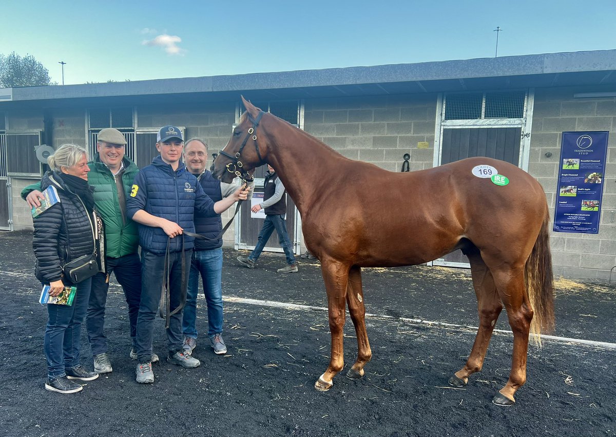 Lot 169 <a href="/Goffs1866/">Goffs</a> Orby sells for €140,000 to agent <a href="/EdgarByrne75/">Edgar Byrne Racing</a> on behalf of Glæsner Racing, Denmark, and heads into training with Niels Petersen in Norway. Colt by Ulysses out of half-sister to SW Token Of Love and closely related to Mighty Ulysses ✨🥂🍾