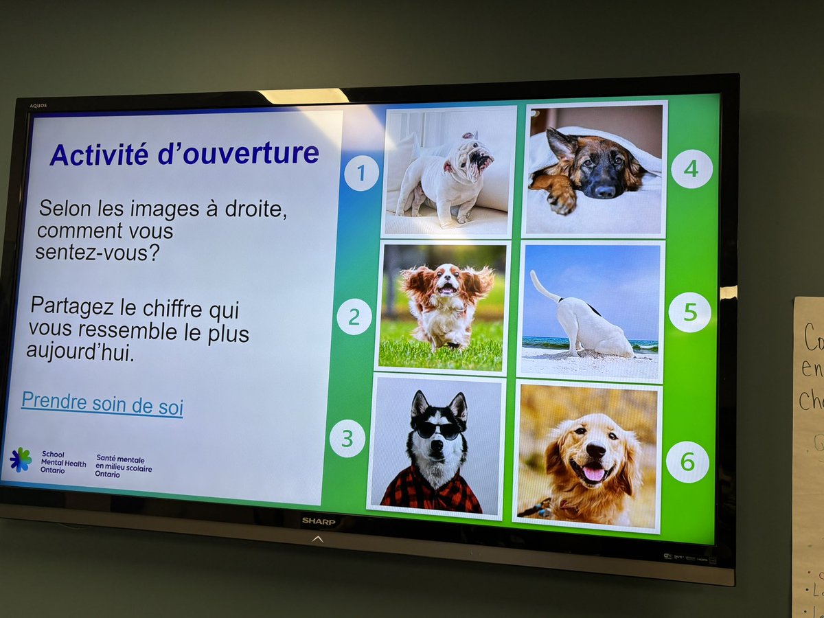 Katie Lewis-Prieur tweet media