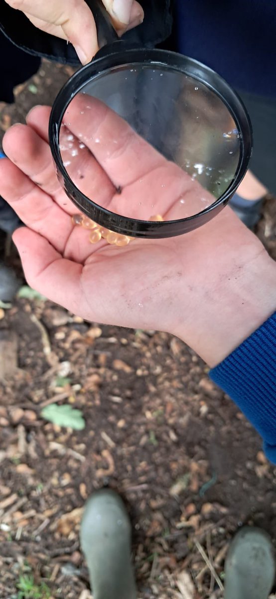 Polehampton C of E Schools tweet media