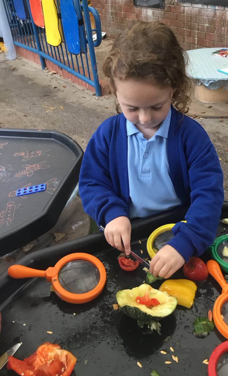 Christletonpri's tweet image. Reception have been learning about harvest time and loved investigating the different fruit and vegetables today. Great use of their senses to observe and super use of  language to describe what they had discovered! #cpseyfs #cpsscience