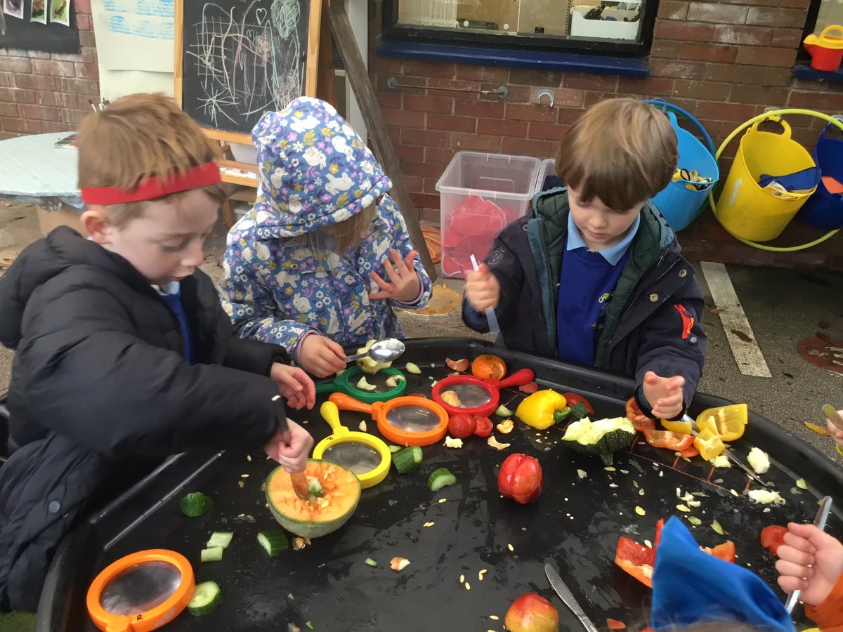 Christletonpri's tweet image. Reception have been learning about harvest time and loved investigating the different fruit and vegetables today. Great use of their senses to observe and super use of  language to describe what they had discovered! #cpseyfs #cpsscience
