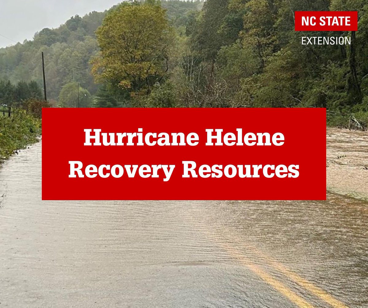 Many of our communities in WNC have been impacted by the destruction of Hurricane Helene. Our hearts are broken by this devastation, and we are here to support you in the ongoing recovery and rebuilding efforts after this disaster. 

Below we have listed available key resources: