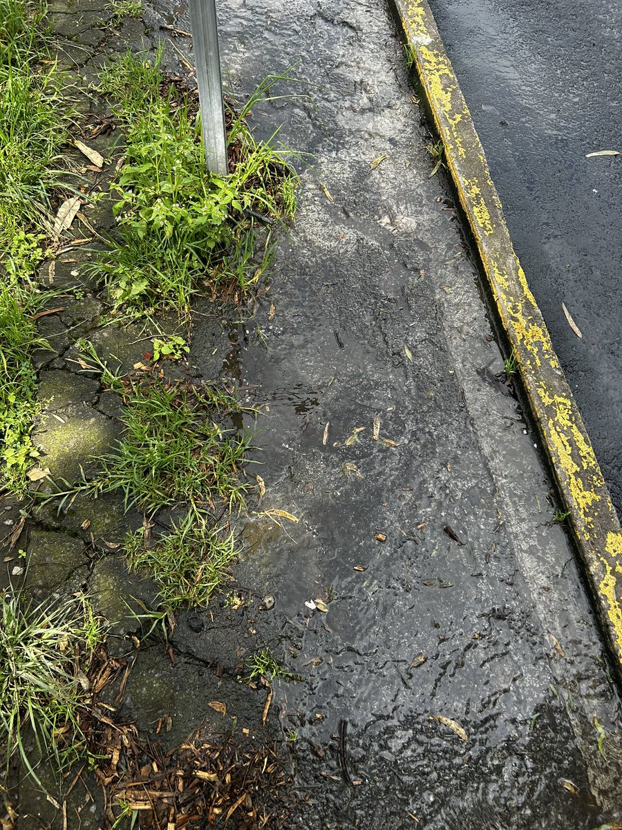 Ro_MonteroC's tweet photo. @AlcaldiaAO @LopezCasarinJ 

Su apoyo con arreglar la fuga, seguramente rompieron una tubería y ya van meses que no se arregla.

Es en Av glaciar en frente de los departamentos 469.
A un lado de La Comer. https://t.co/IOFT4qtlwp