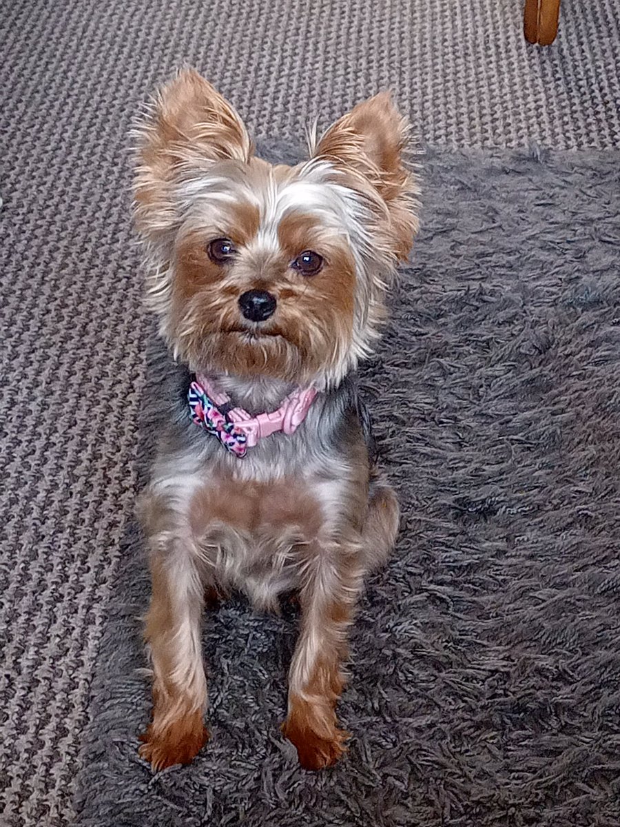 Peter (MM9SQL) tweet media