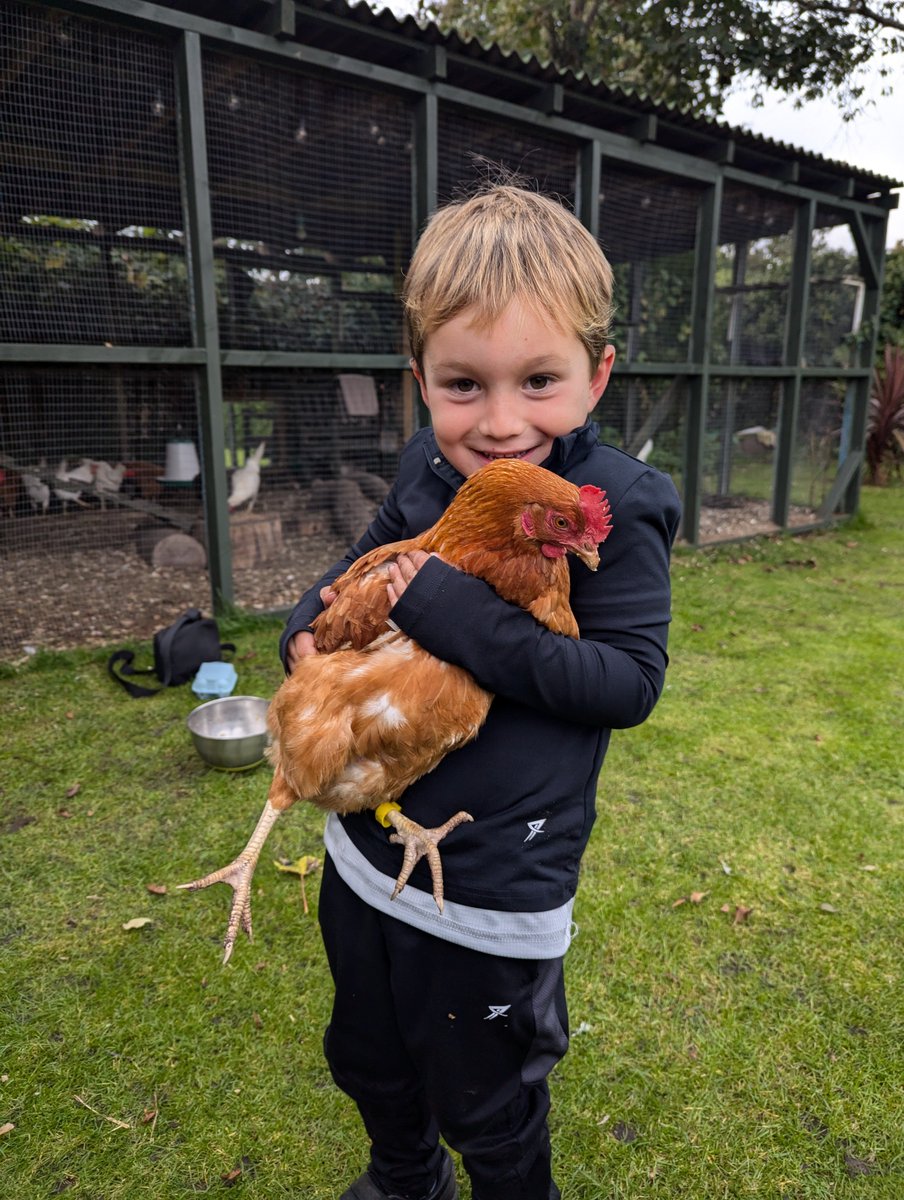 Emma Gillespie tweet media