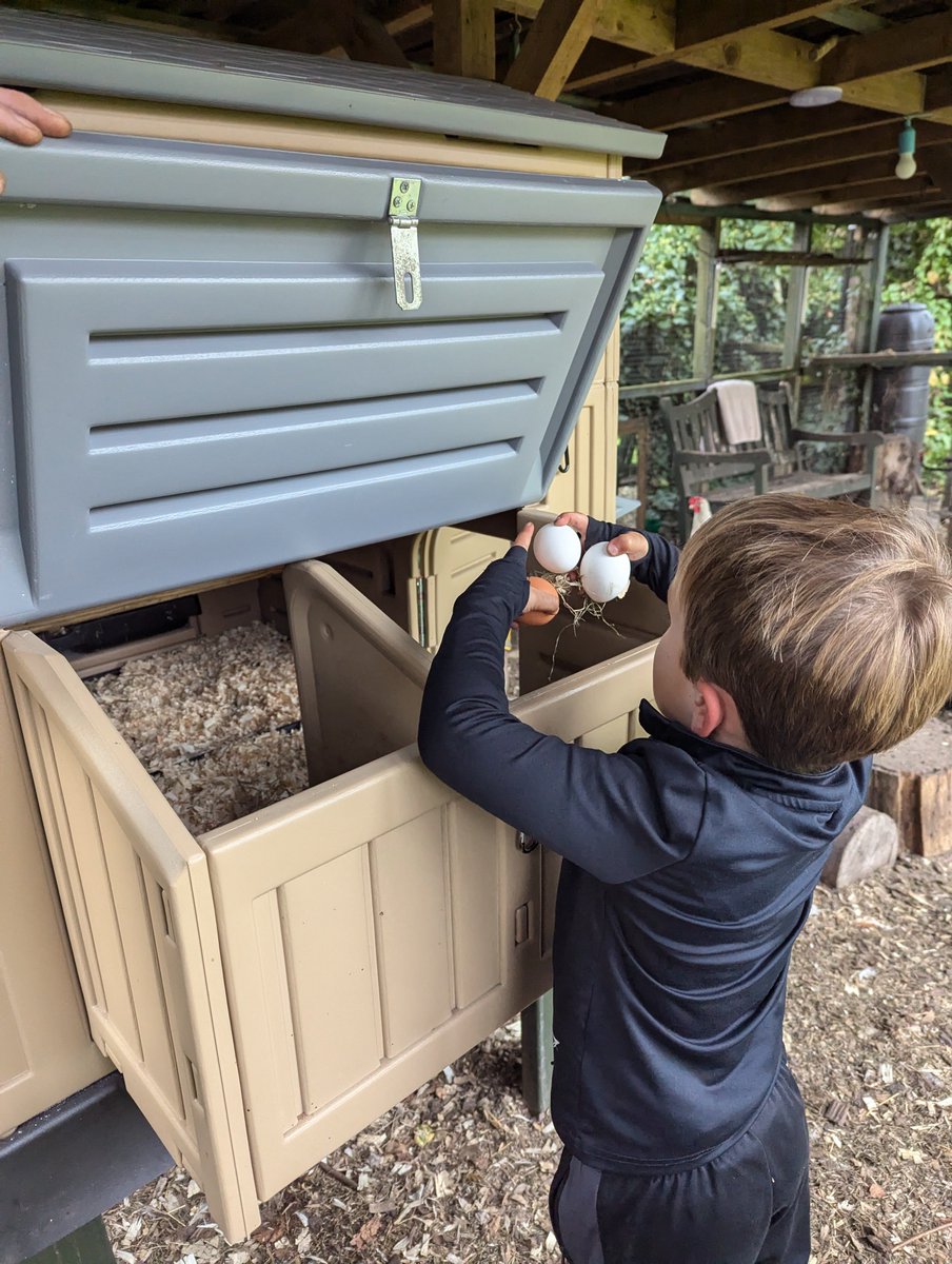 Emma Gillespie tweet media