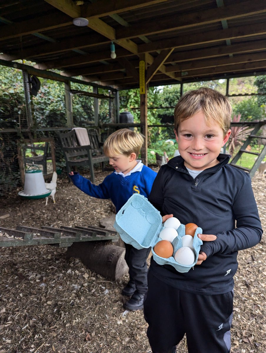 Emma Gillespie tweet media