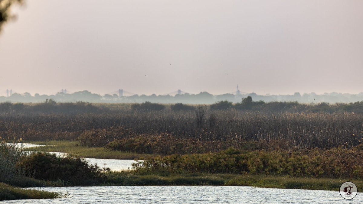 Timothy Marks 🎥 🇿🇼 🐘 tweet media