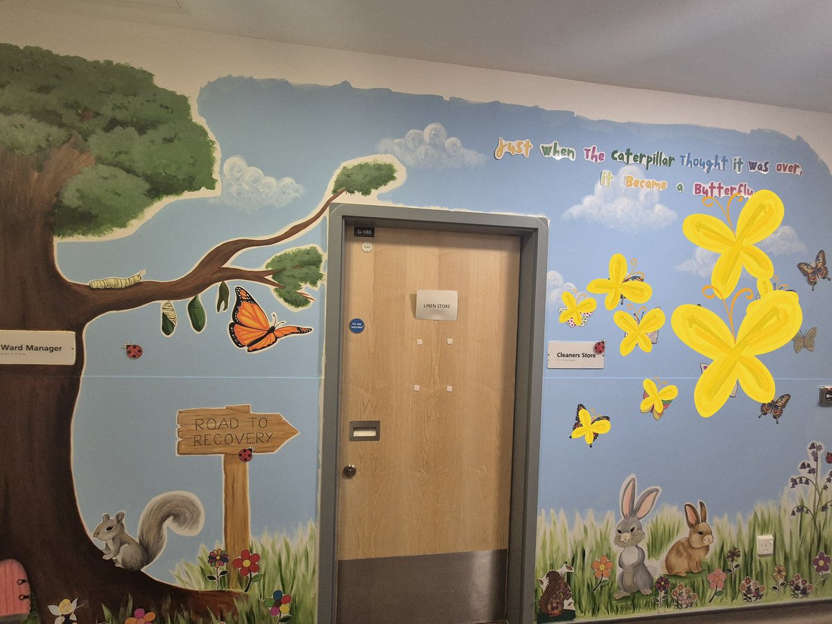 We Are Woodview tweet media