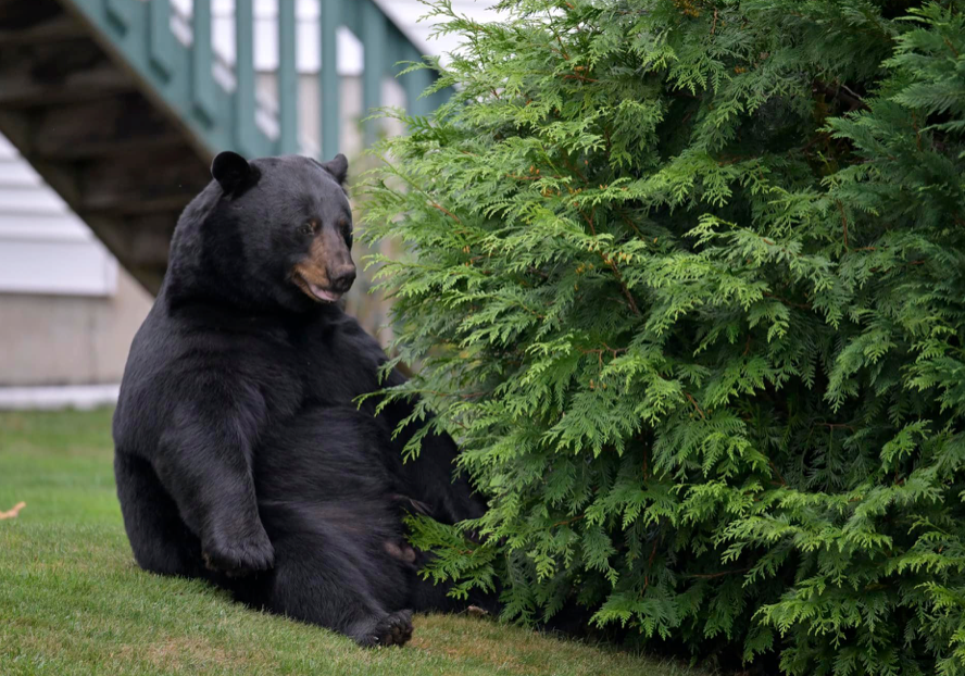 Laxidaisy tweet media