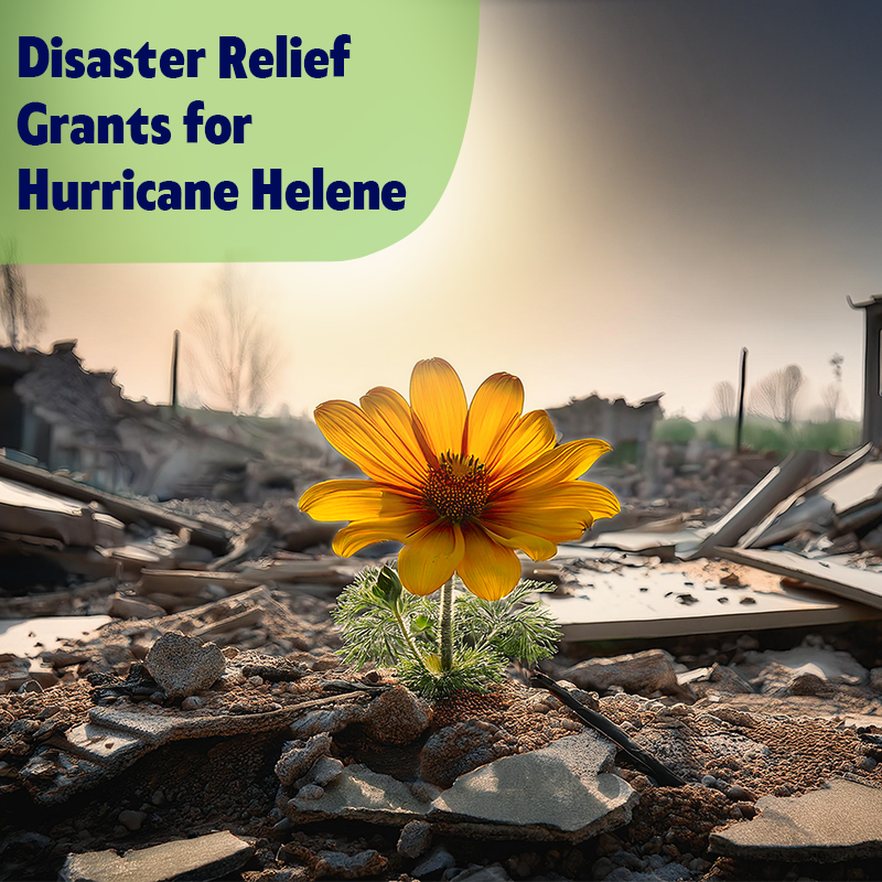 GrantWatch's tweet photo. As communities work to rebuild in the aftermath of Hurricane Helene, GrantWatch is joining recovery efforts to help communities by connecting them with vital grants and resources to aid in disaster relief.

🔗https://t.co/U9UDPjNRFV
  #disasterrecovery #emergencyfunding https://t.co/ut2JzYFyqH