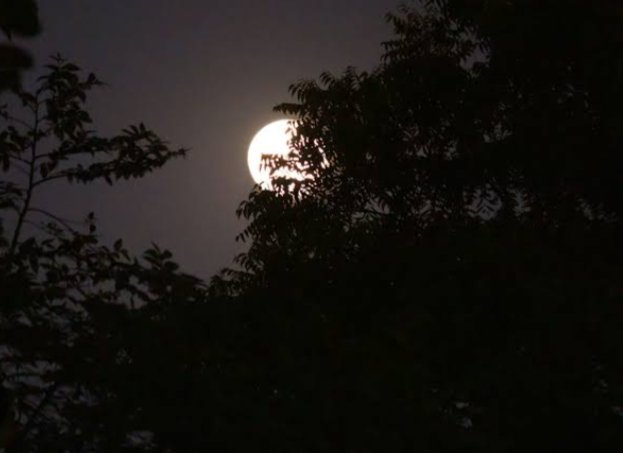 दुनिया में रहकर सपनों में खो जाओ,
सपनों को अपना बना लो, या फिर सपनों के हो जाओ... 🌃 

क्या दे दूं मैं सबको राय,
बंद करो मोबाइल, सभी को गुड नाइट, बाय बाय...😄
शुभ रात्रि....🙏

#GoodNightTwitterWorld #शुभरात्रि 
#भूतपूजेंगे_वो_भूतबनेंगे #Rajnikanth