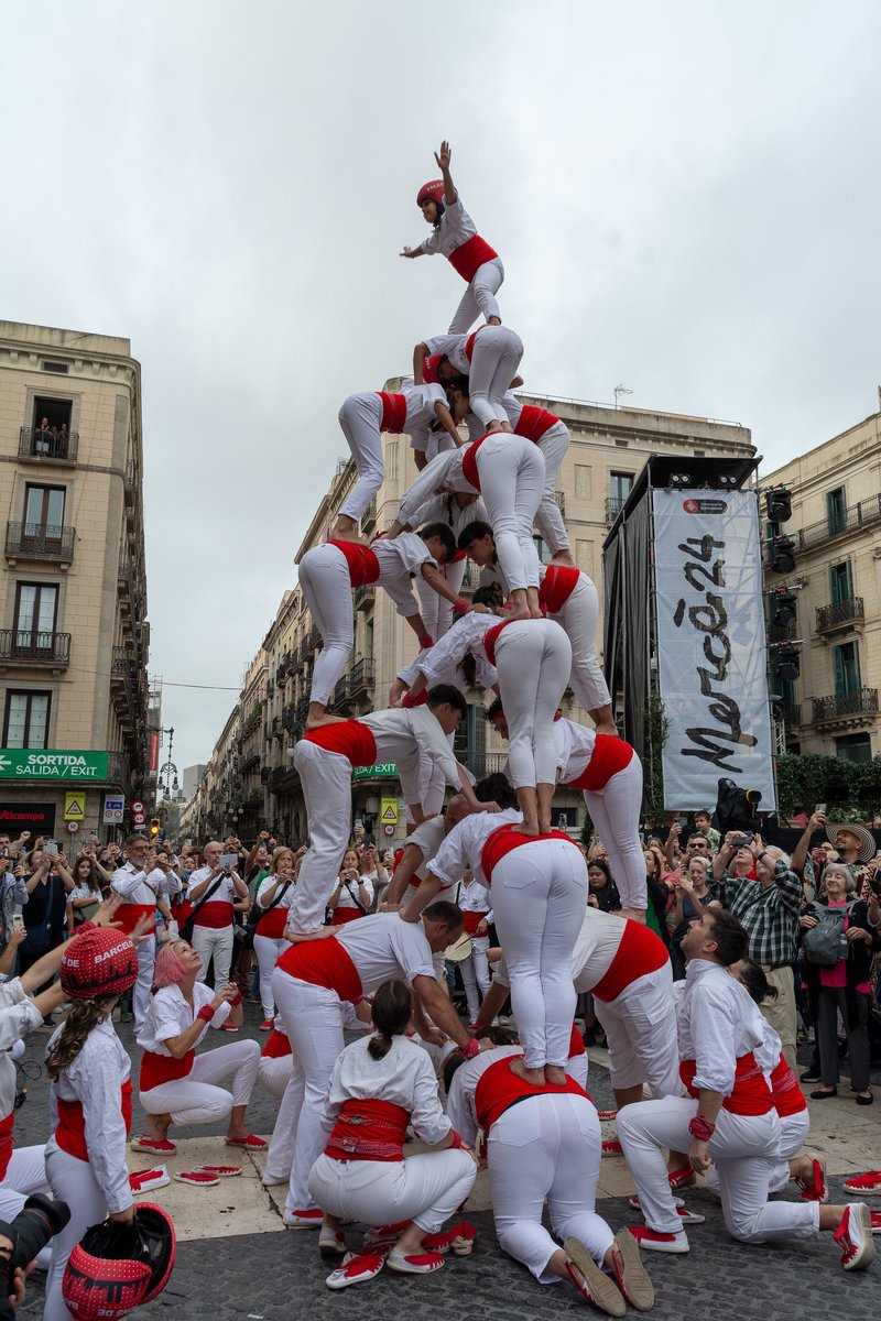 Falcons de Barcelona tweet media