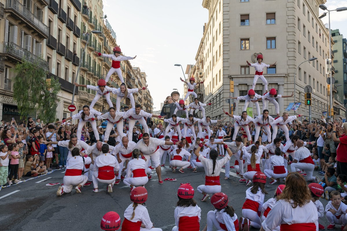 Falcons de Barcelona tweet media