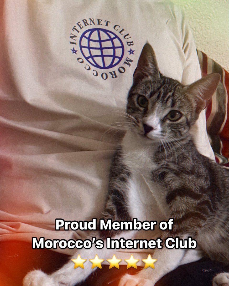 devsinstyle's tweet image. 🐱 A Cat reviewed our T-Shirt:

🐾 Purr-fect fit for my human! 🐱
This shirt is soft enough for naps and stylish enough for coding. 10/10 would cuddle again. 😺💻  
If you’re a cat-approved developer, grab yours from @devsinstyle today!

#CatReview #CodeAndChill #DevsInStyle