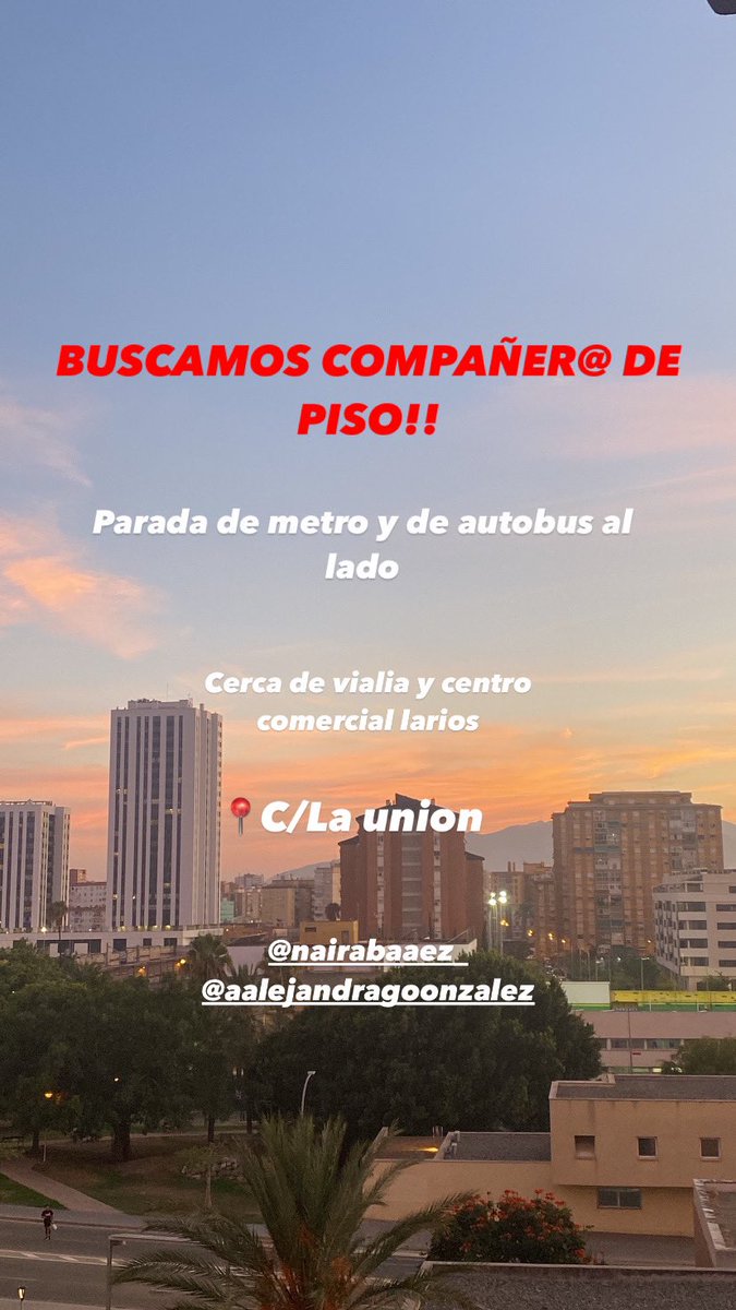 Alejandra tweet media