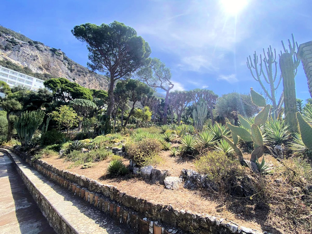 Visiting neighbours to Andalucia - the country of Gibraltar! 🐒 Always a special day out with so much to see and do! 

Thank you once again to everyone who joined us on this trip from the Costa del Sol! 🚌